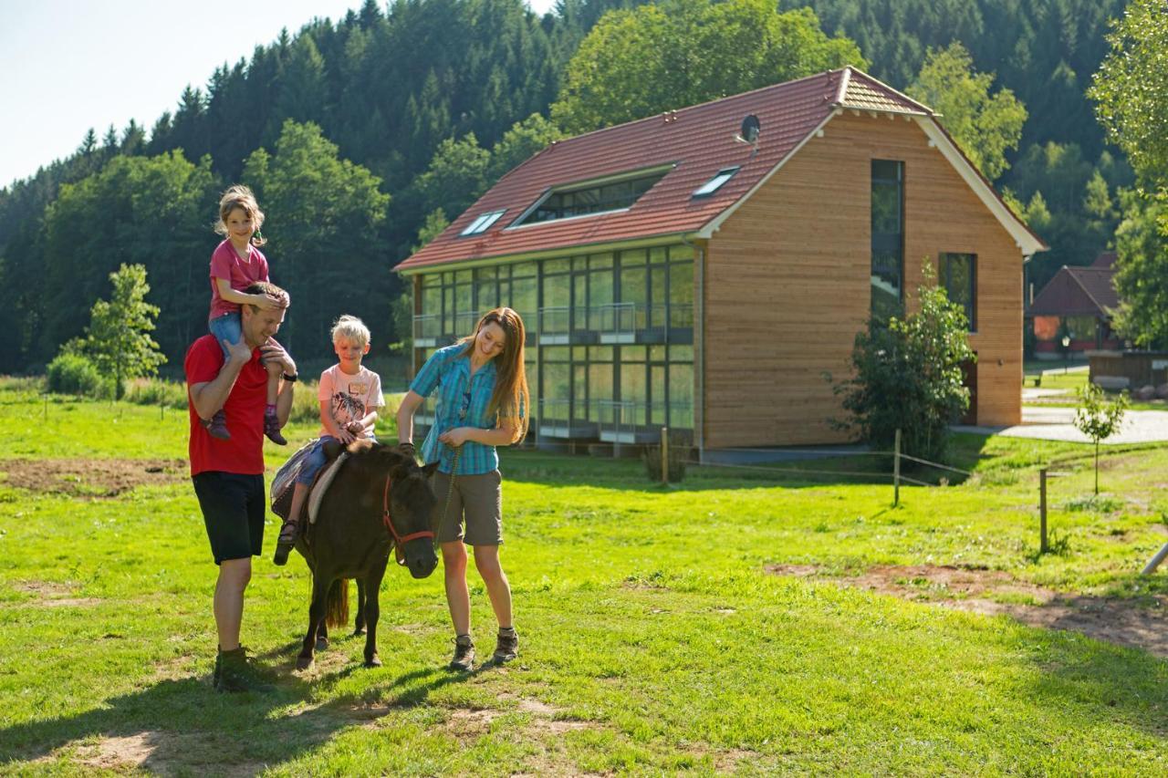 Landhotel Weihermuehle Thaleischweiler-Froschen Esterno foto